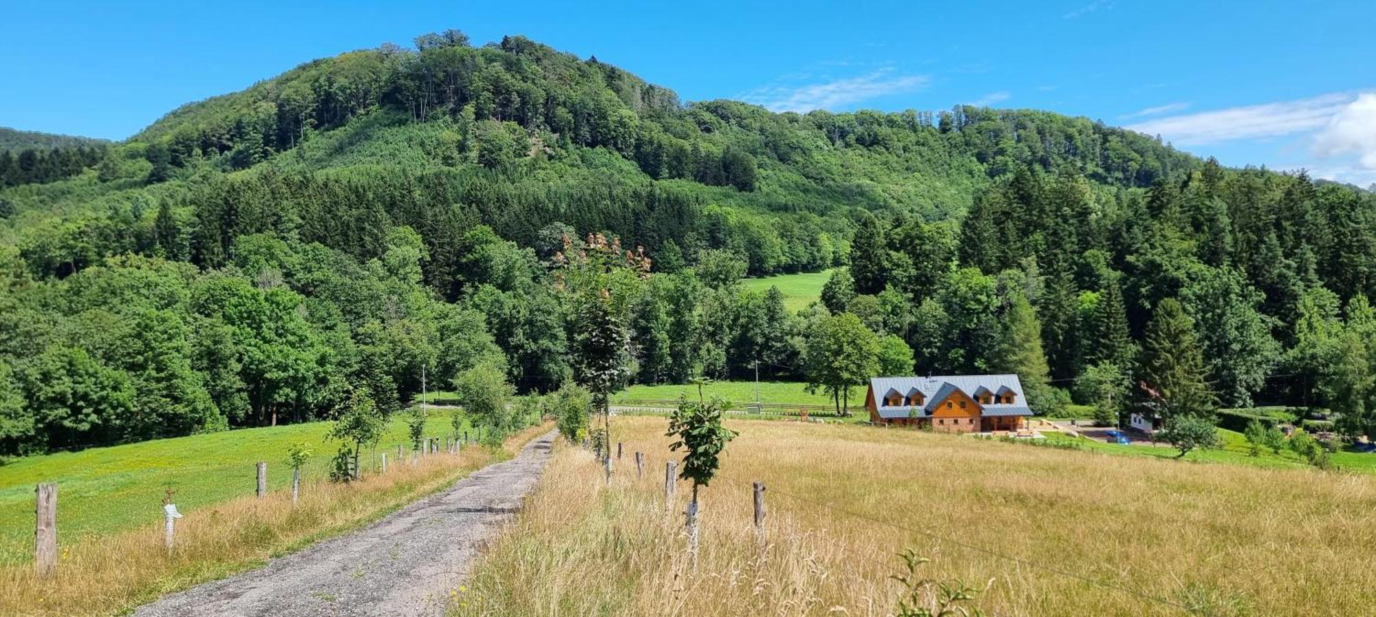 Villa Chalupa Vapenka Stárkov Exterior foto